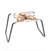 Fetish Fantasy Series the Incredible Sex Stool