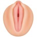 Alexis Texas Movie Download With Realistic Vagina Stroker