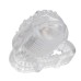 Foil Pack Vibrating Tongue Teaser - Clear