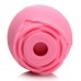 The Rose Lover's Gift Box Bloomgasm - Pink