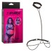 Euphoria Collection Plus Size Chain Halter/collar and Leash - Black Euphoria Collection Plus Size Chain Halter/collar and Leash - Black