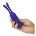 Pleasure Kits Temptation Collection - Purple