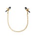 Fetish Fantasy Gold Chain Nipple Clamps - Gold Fetish Fantasy Gold Chain Nipple Clamps - Gold