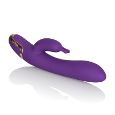 Entice Isabella - Purple Entice Isabella - Purple