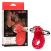 Couple's Raging Bull