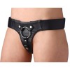 Domina Adjustable Wide Band Strap on Harness