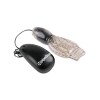 Fetish Fantasy Series Vibrating Head Teazer