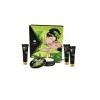Geisha's Secrets Gift Set - Organica - Exotic Green Tea