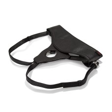 Her Royal Harness - the Queen Her Royal Harness - the Queen