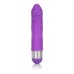 Shane's World Silicone Buddy - Purple