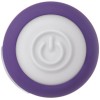 Purple Passion