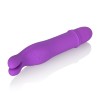 Shane's World Bedtime Bunny - Purple