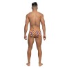 Pride Fest - Mini Short - Medium - Print