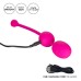 Rechargeable Dual Kegel - Pink Rechargeable Dual Kegel - Pink