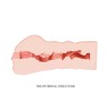 Crazy Bull Masturbator Sleeve - Mavis