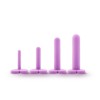 Wellness - Dilator Kit - Purple