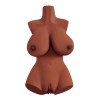 Perfect 10 Torso - Brown