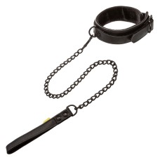 Boundless Collar & Leash Boundless Collar & Leash
