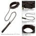 Boundless Collar & Leash Boundless Collar & Leash