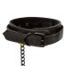 Boundless Collar & Leash Boundless Collar & Leash