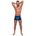 Retro Sport Panel Short - Small - Blue/ Black