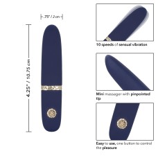 Chic Daisy Chic Daisy