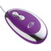 Cloud 9 3 Speed Bullet With Remote - Purple Cloud 9 3 Speed Bullet With Remote - Purple
