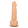 Size Queen 6 inch/15.25 Cm - Ivory