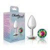 Rainbow Round Gem Silver Metal Plug - Sm