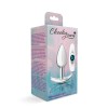 Silver Anchor Buttplug Kit - Clear Iridescent/teal