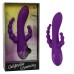 California Dreaming Long Beach Bootylicious - Purple California Dreaming Long Beach Bootylicious - Purple