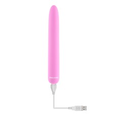 Carnation - Pink Carnation - Pink