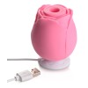 The Rose Lover's Gift Box Bloomgasm - Pink