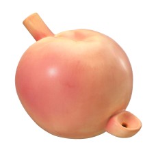 Peach Pipe Peach Pipe