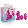 Vibrating Pink Metal Remote Plug - Medium
