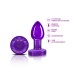 Vibrating Purple Metal Remote Plug - Small Vibrating Purple Metal Remote Plug - Small