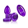 Vibrating Purple Metal Remote Plug - Small