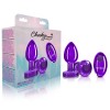 Vibrating Purple Metal Remote Plug - Medium