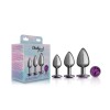 Purple Round Gem Anal Trainer Kit - Gunmetal