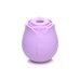 Bloomgasm Wild Rose 10x Suction Clit Stimulator - Purple Bloomgasm Wild Rose 10x Suction Clit Stimulator - Purple