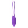 Playboy Pleasure - Put in Work - Kegel Balls Set - Acai Ombre