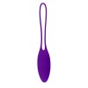 Playboy Pleasure - Put in Work - Kegel Balls Set - Acai Ombre