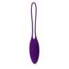 Playboy Pleasure - Put in Work - Kegel Balls Set - Acai Ombre