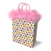 Dirty Penis Gift Bag