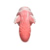 Pegasus Pecker Winged Silicone Dildo - Pink/white Pegasus Pecker Winged Silicone Dildo - Pink/white