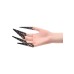 Black Sensory Fingertips Black Sensory Fingertips