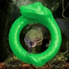 Serpentine Silicone Cock Ring - Green Serpentine Silicone Cock Ring - Green
