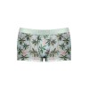 Sheer Prints - Seamless Sheer Short - Large - Flamingo