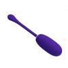 Kirk Rechargeable Vibrating Egg - Purple