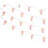 Glitterati Penis String Lights - 20 Lights